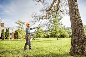 Boswell, PA Tree Services Company