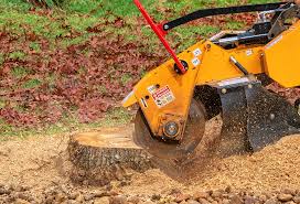 Tree and Shrub Care in Boswell, PA